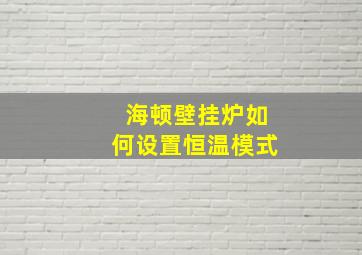 海顿壁挂炉如何设置恒温模式