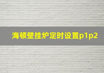 海顿壁挂炉定时设置p1p2