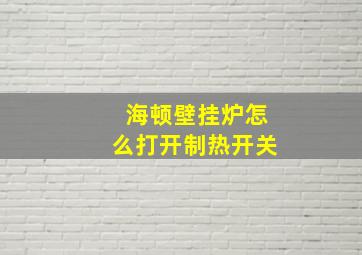 海顿壁挂炉怎么打开制热开关