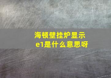 海顿壁挂炉显示e1是什么意思呀