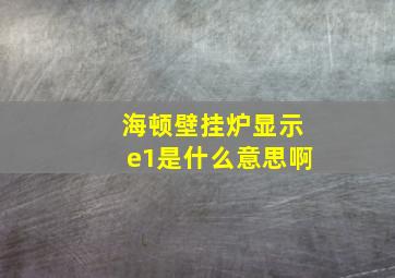 海顿壁挂炉显示e1是什么意思啊