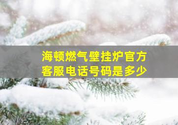 海顿燃气壁挂炉官方客服电话号码是多少