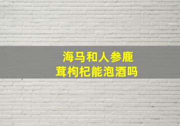 海马和人参鹿茸枸杞能泡酒吗