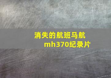 消失的航班马航mh370纪录片