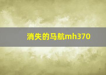 消失的马航mh370