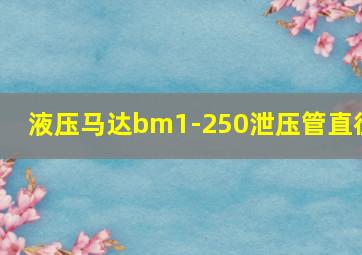 液压马达bm1-250泄压管直径