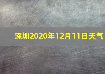 深圳2020年12月11日天气