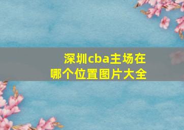 深圳cba主场在哪个位置图片大全