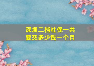 深圳二档社保一共要交多少钱一个月