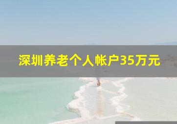 深圳养老个人帐户35万元