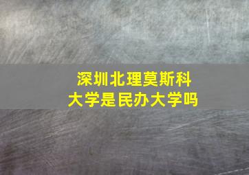 深圳北理莫斯科大学是民办大学吗