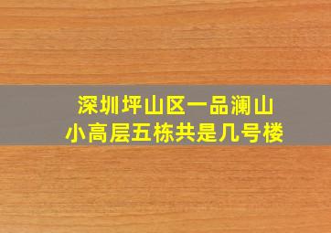 深圳坪山区一品澜山小高层五栋共是几号楼