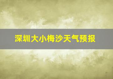 深圳大小梅沙天气预报