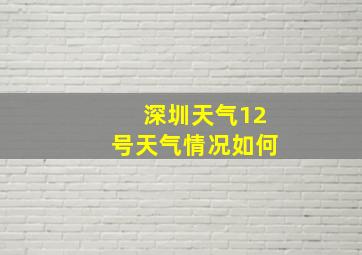 深圳天气12号天气情况如何