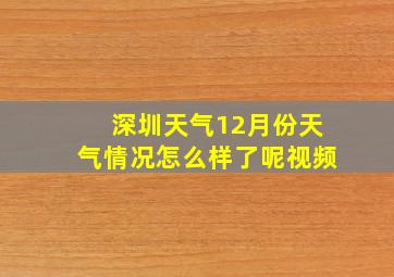 深圳天气12月份天气情况怎么样了呢视频