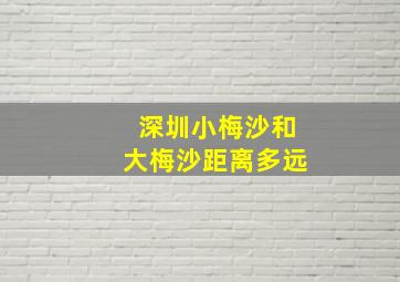 深圳小梅沙和大梅沙距离多远