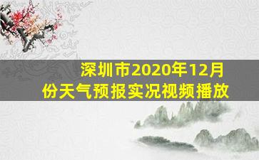 深圳市2020年12月份天气预报实况视频播放