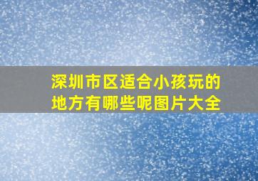 深圳市区适合小孩玩的地方有哪些呢图片大全