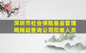 深圳市社会保险基金管理局网站查询公司在缴人员