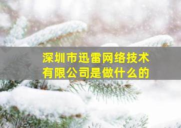 深圳市迅雷网络技术有限公司是做什么的