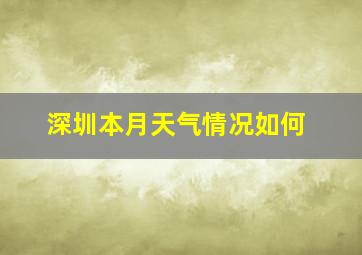 深圳本月天气情况如何