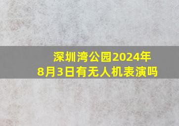 深圳湾公园2024年8月3日有无人机表演吗