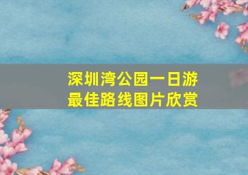 深圳湾公园一日游最佳路线图片欣赏