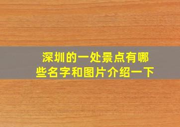 深圳的一处景点有哪些名字和图片介绍一下