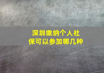 深圳缴纳个人社保可以参加哪几种