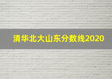 清华北大山东分数线2020