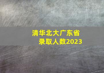 清华北大广东省录取人数2023