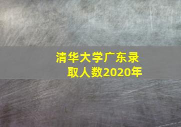 清华大学广东录取人数2020年