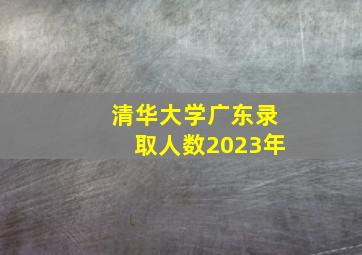 清华大学广东录取人数2023年