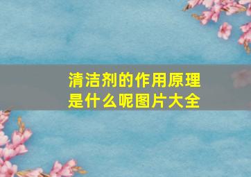 清洁剂的作用原理是什么呢图片大全