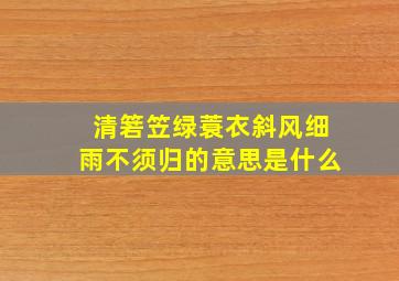 清箬笠绿蓑衣斜风细雨不须归的意思是什么