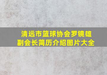 清远市篮球协会罗镜雄副会长简历介绍图片大全