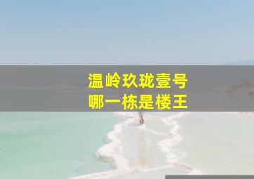 温岭玖珑壹号哪一栋是楼王