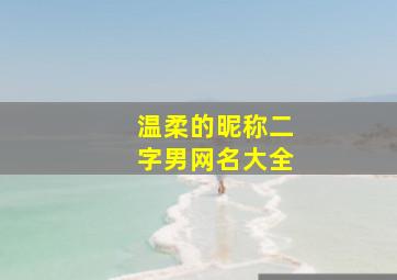 温柔的昵称二字男网名大全