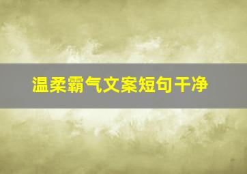 温柔霸气文案短句干净