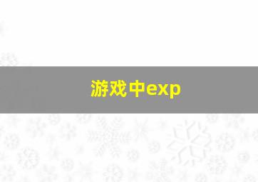 游戏中exp