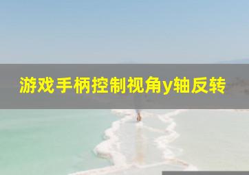 游戏手柄控制视角y轴反转