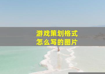 游戏策划格式怎么写的图片