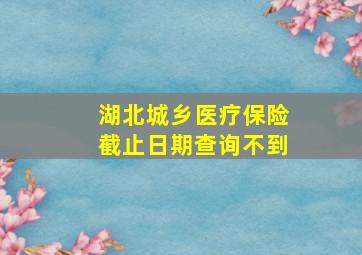 湖北城乡医疗保险截止日期查询不到