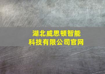 湖北威思顿智能科技有限公司官网