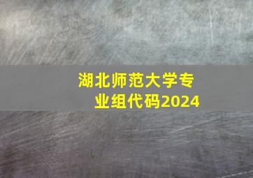 湖北师范大学专业组代码2024