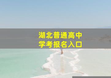 湖北普通高中学考报名入口