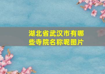 湖北省武汉市有哪些寺院名称呢图片