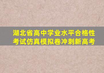 湖北省高中学业水平合格性考试仿真模拟卷冲刺新高考