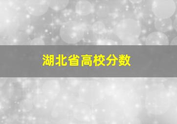 湖北省高校分数