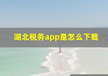 湖北税务app是怎么下载